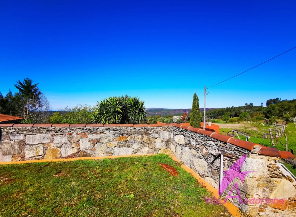 Quinta T7 para Venda em Dem Foto 12