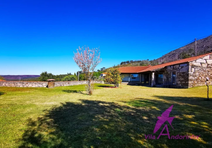 Quinta T7 para Venda em Dem Foto 16