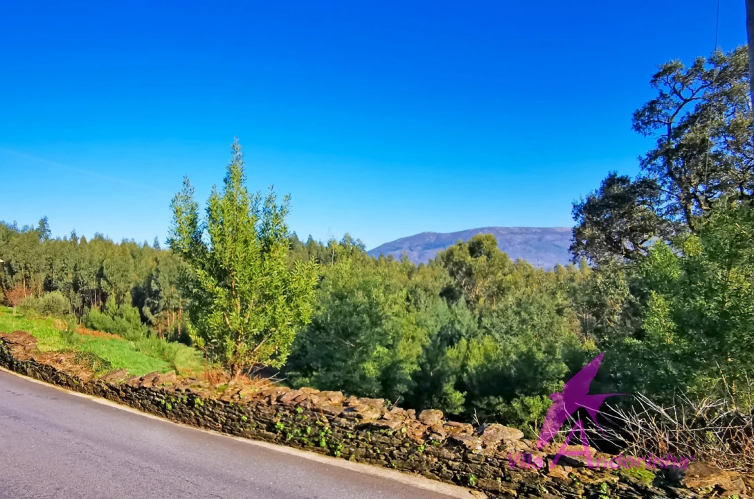 Terreno para Venda em Nogueira, Meixedo e Vilar de Murteda Foto 2