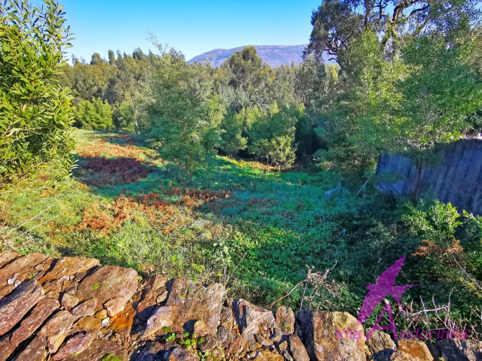 Terreno para Venda em Nogueira, Meixedo e Vilar de Murteda Foto 7