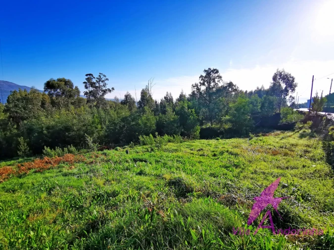 Terreno para Venda em Nogueira, Meixedo e Vilar de Murteda Foto 4