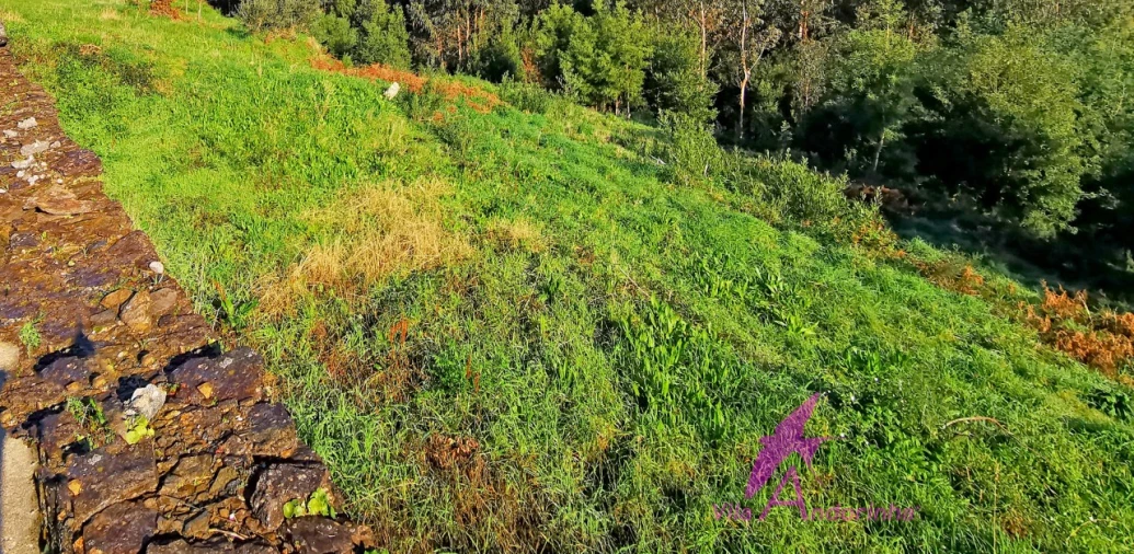 Terreno para Venda em Nogueira, Meixedo e Vilar de Murteda Foto 5