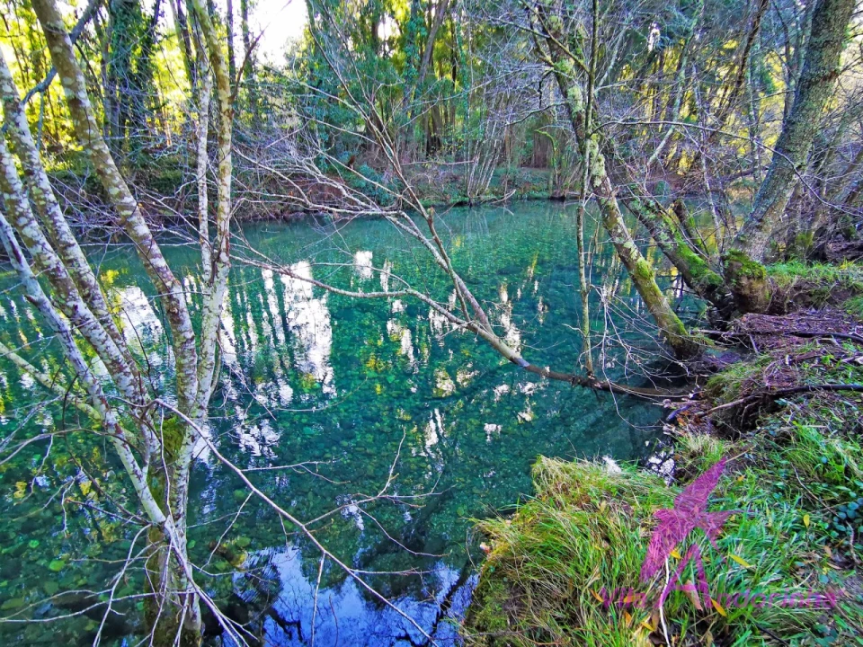 Terreno para Venda em Ancora Foto 10