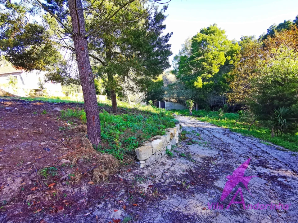 Terreno para Venda em Ancora Foto 18