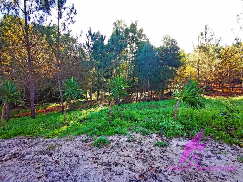 Terreno para Venda em Ancora Foto 6