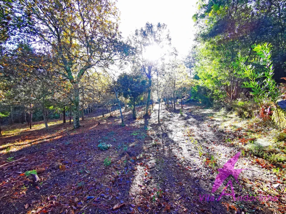 Terreno para Venda em Ancora Foto 8