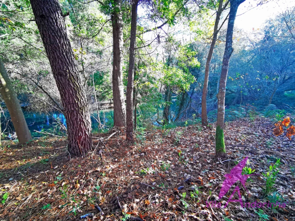 Terreno para Venda em Ancora Foto 3