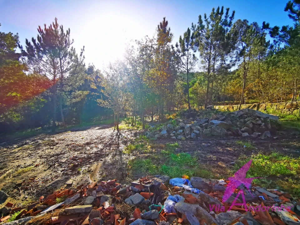 Terreno para Venda em Ancora Foto 25