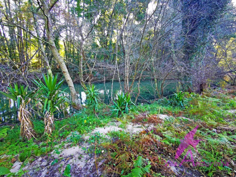 Terreno para Venda em Ancora Foto 28