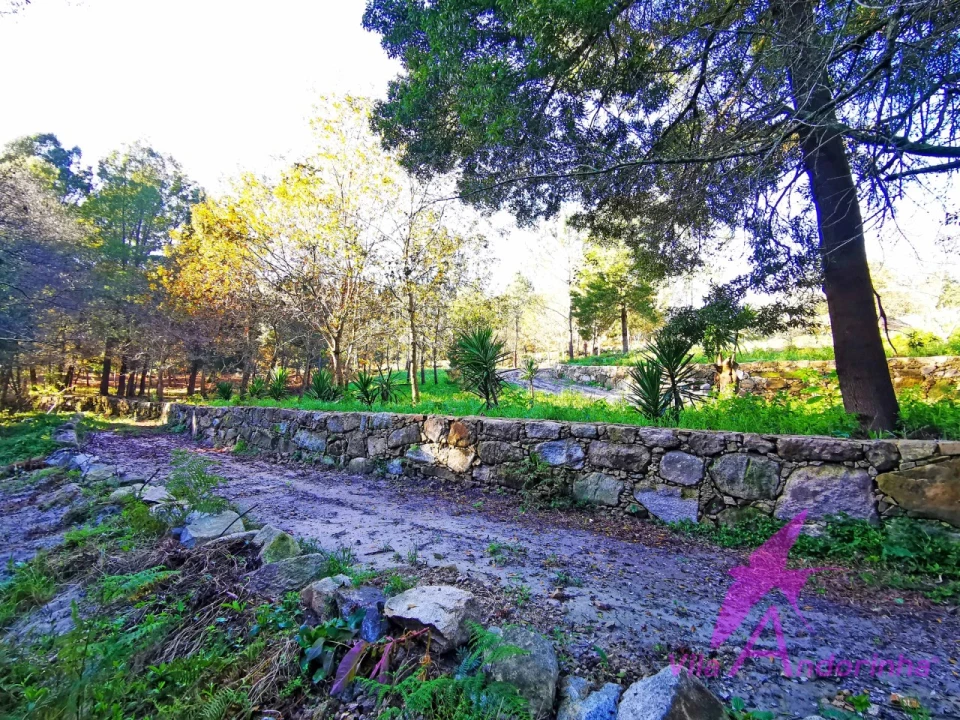 Terreno para Venda em Ancora Foto 30