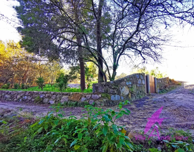 Terreno para Venda em Ancora Foto 13