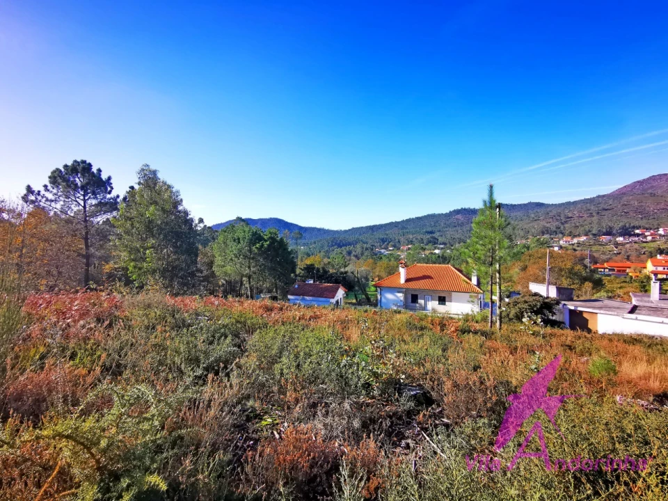 Terreno para Venda em Nogueira, Meixedo e Vilar de Murteda Foto 6