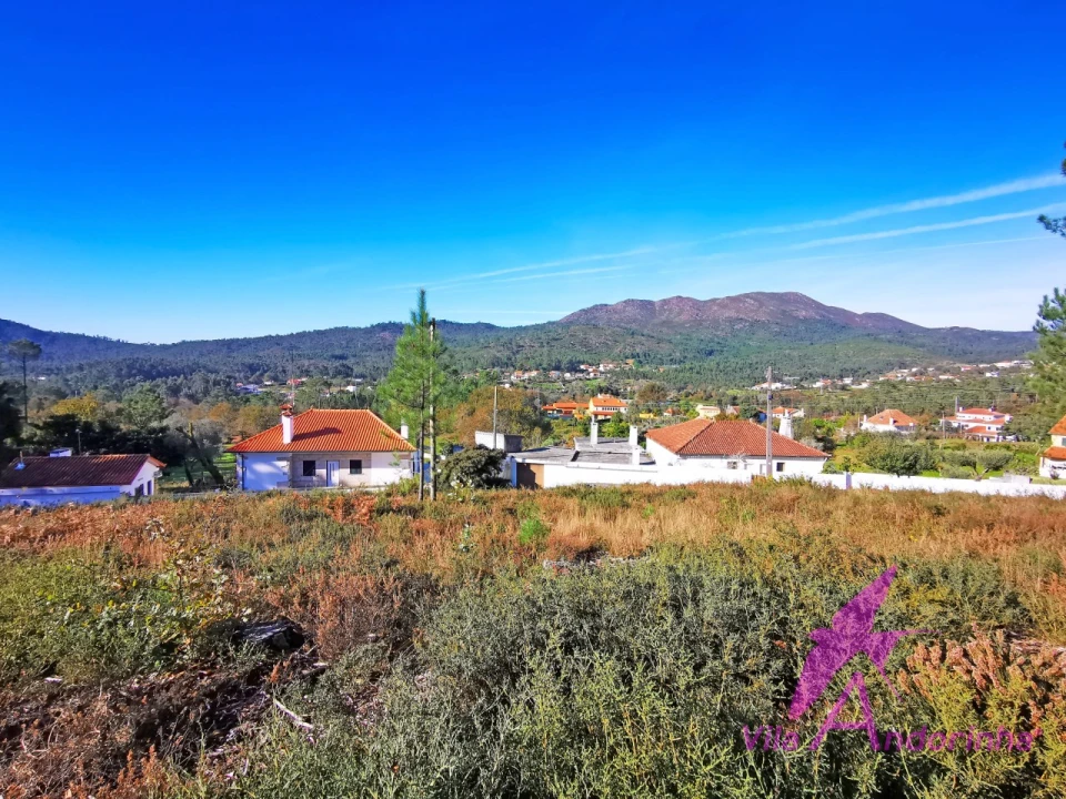 Terreno para Venda em Nogueira, Meixedo e Vilar de Murteda Foto 7