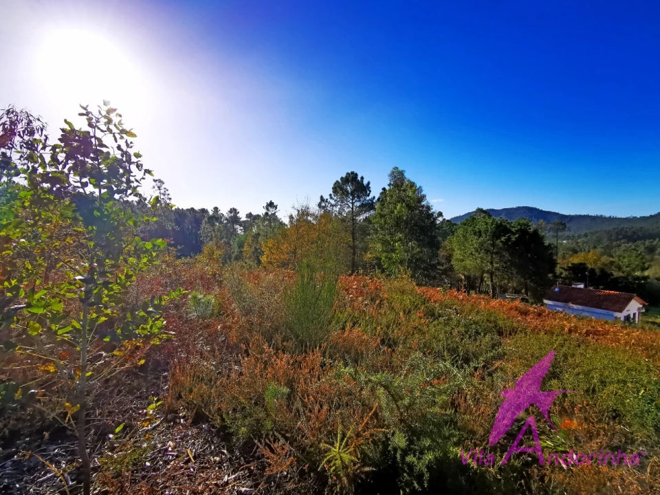 Terreno para Venda em Nogueira, Meixedo e Vilar de Murteda Foto 8