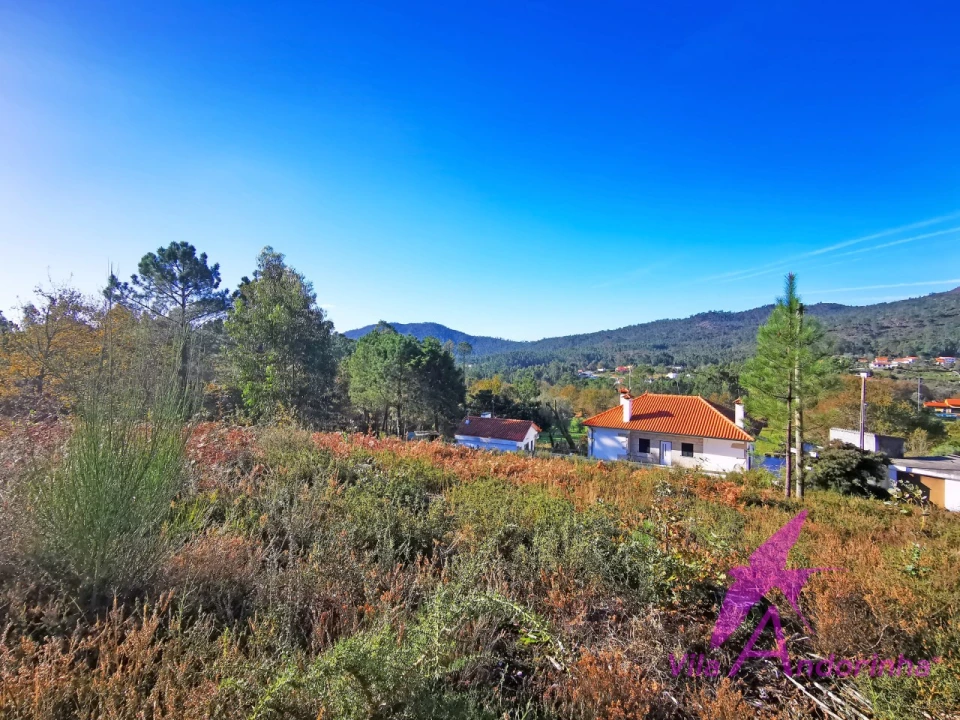 Terreno para Venda em Nogueira, Meixedo e Vilar de Murteda Foto 9