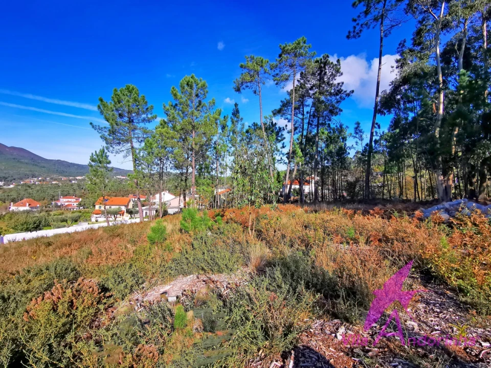 Terreno para Venda em Nogueira, Meixedo e Vilar de Murteda Foto 11