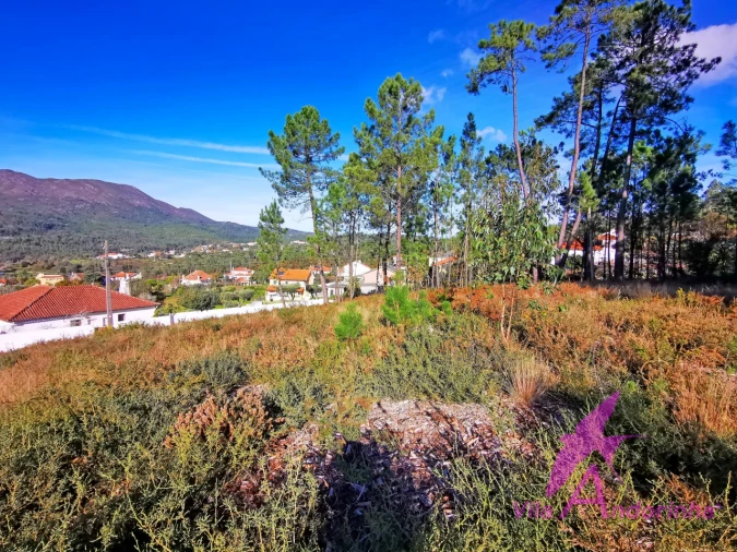 Terreno para Venda em Nogueira, Meixedo e Vilar de Murteda Foto 2