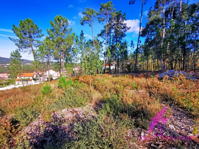 Terreno para Venda em Nogueira, Meixedo e Vilar de Murteda Foto 3