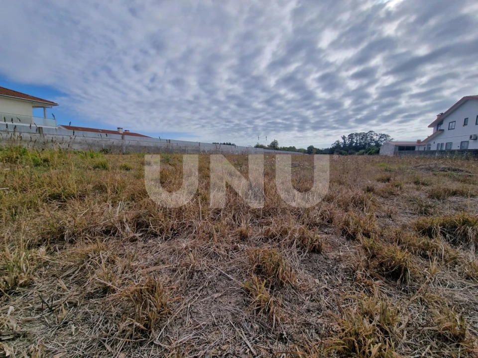 Terreno Agricola ou Rústico para Venda em Valega Foto 3