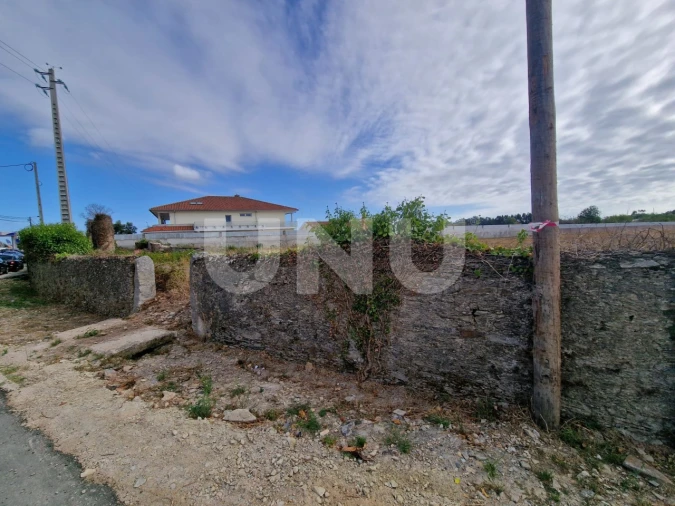 Terreno Agricola ou Rústico para Venda em Valega Foto 4