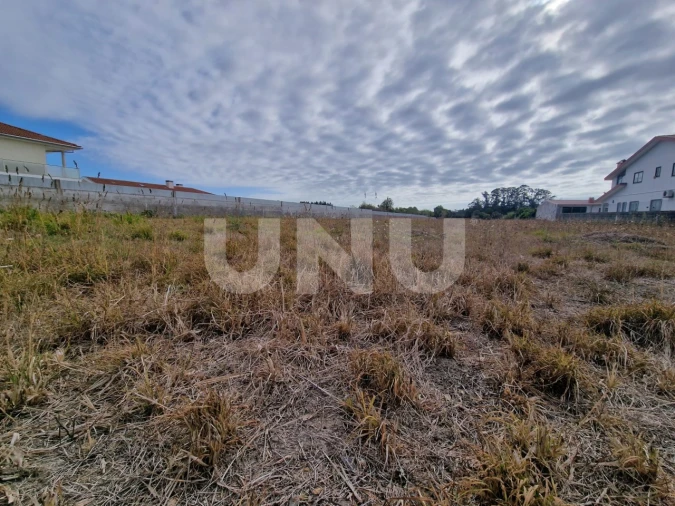 Terreno Agricola ou Rústico para Venda em Valega Foto 3