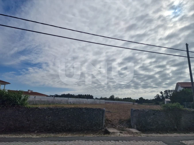 Terreno Agricola ou Rústico para Venda em Valega Foto 5