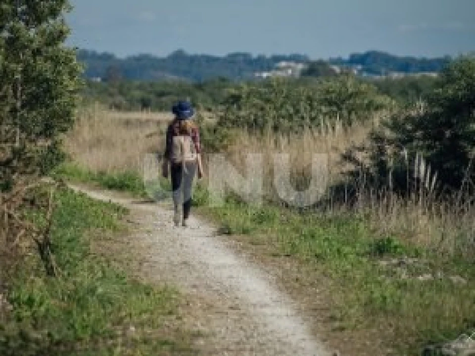 Terreno Agricola ou Rústico para Venda em Ovar, São João, Arada e São Vicente de Pereira Jusã Foto 6