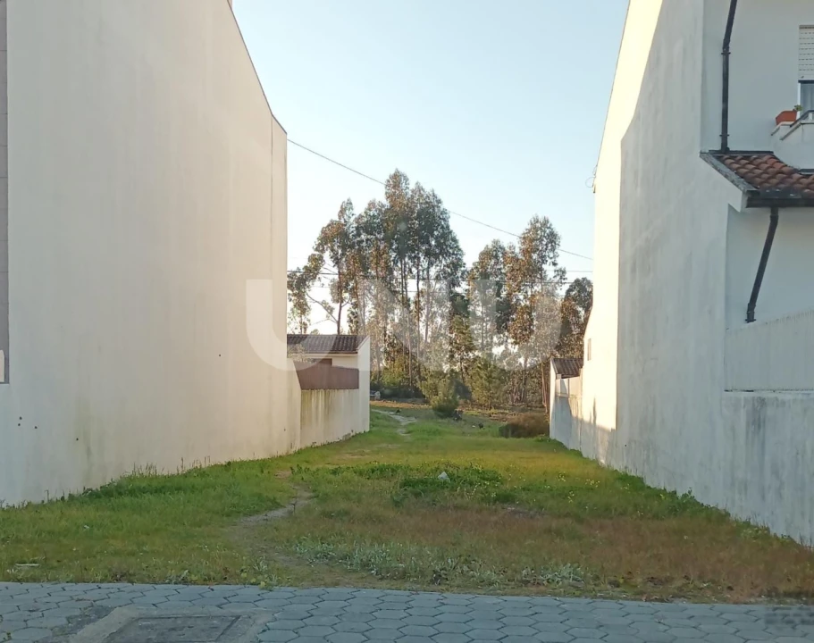 Terreno para Venda em Ovar, São João, Arada e São Vicente de Pereira Jusã Foto 4