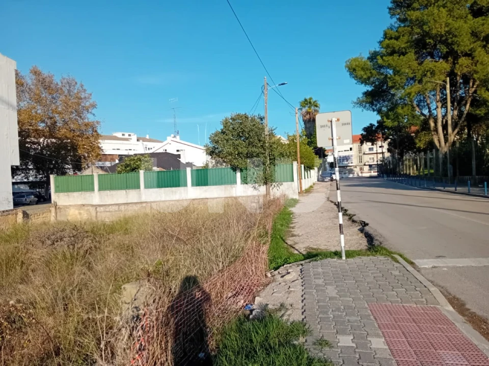 Terreno para Venda em Amora Foto 4