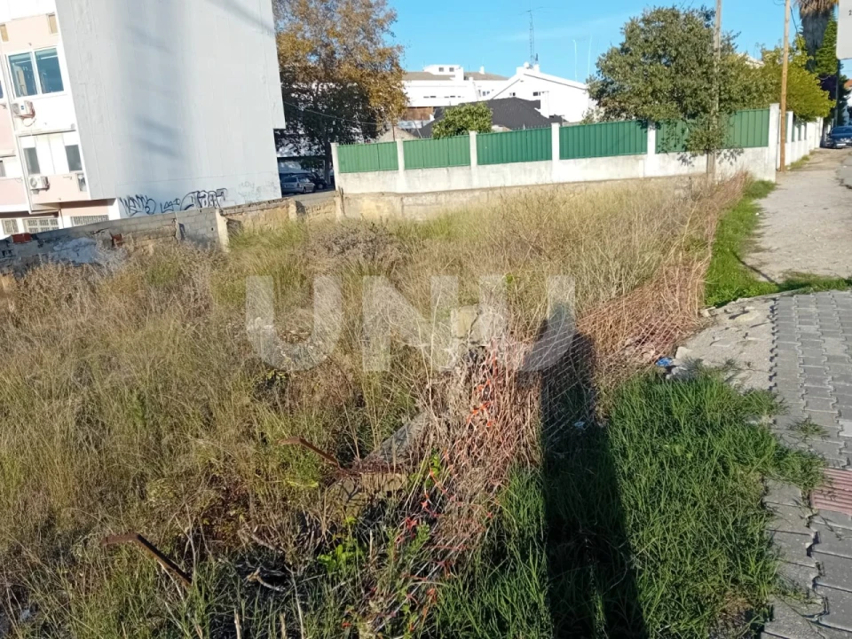 Terreno para Venda em Amora Foto 1