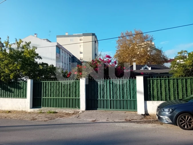 Terreno para Venda em Amora Foto 8