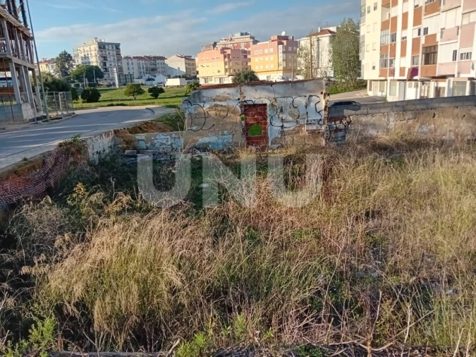 Terreno para Venda em Amora Foto 5