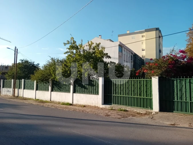 Terreno para Venda em Amora Foto 7