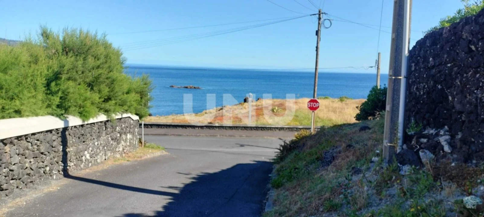 Terreno Agricola ou Rústico para Venda em São Vicente Ferreira Foto 2