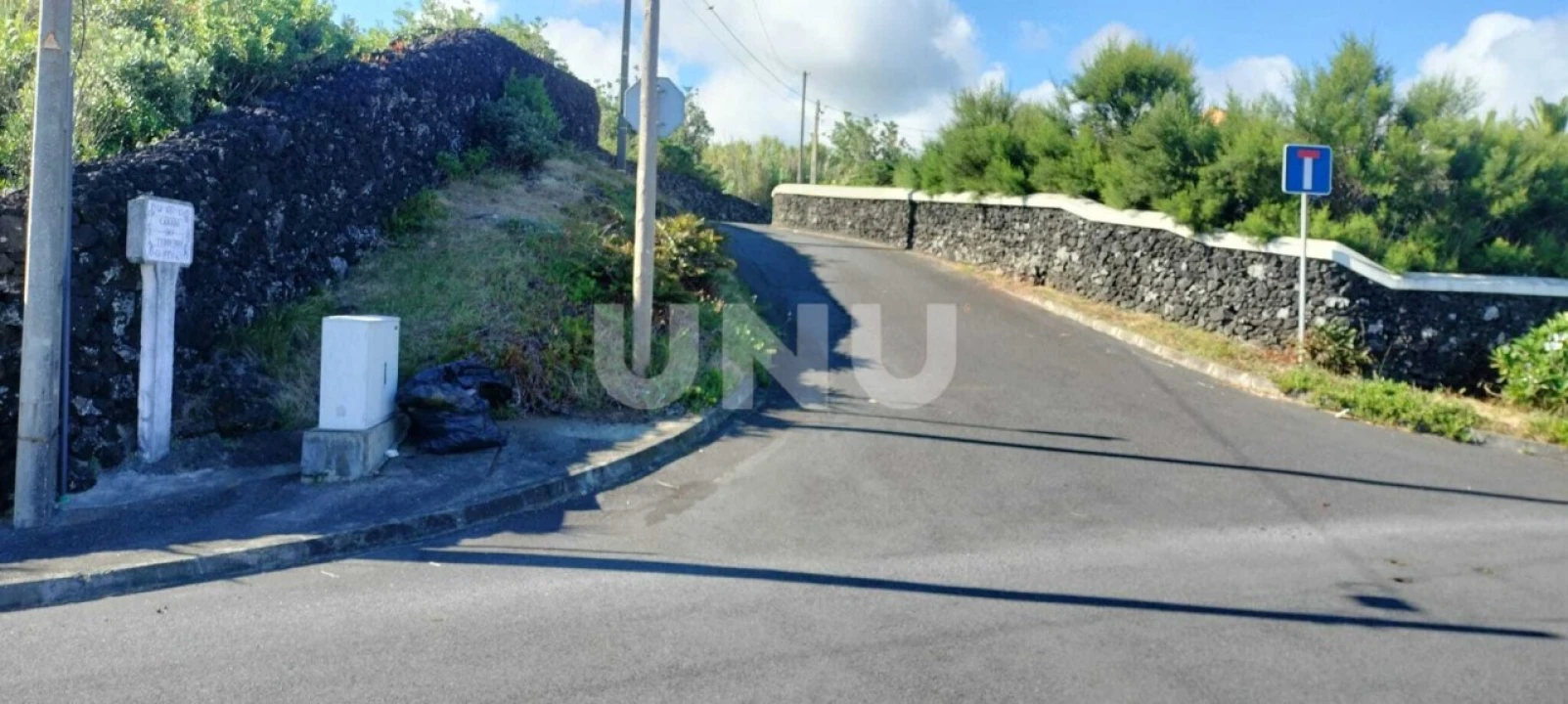 Terreno Agricola ou Rústico para Venda em São Vicente Ferreira Foto 3