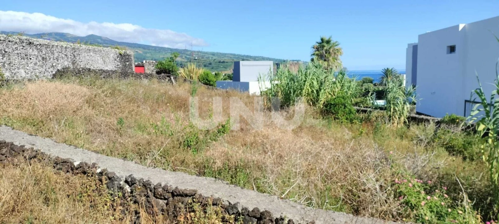 Terreno Agricola ou Rústico para Venda em São Vicente Ferreira Foto 4