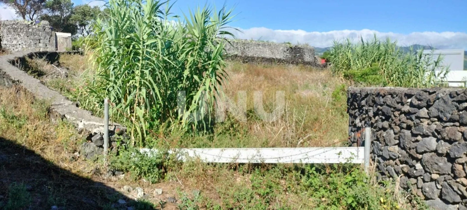 Terreno Agricola ou Rústico para Venda em São Vicente Ferreira Foto 5