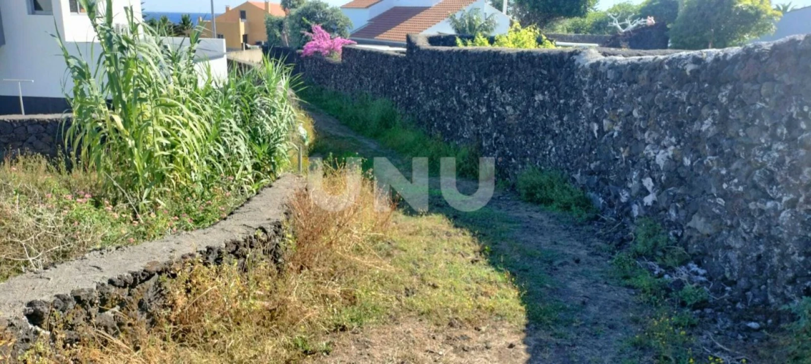 Terreno Agricola ou Rústico para Venda em São Vicente Ferreira Foto 8