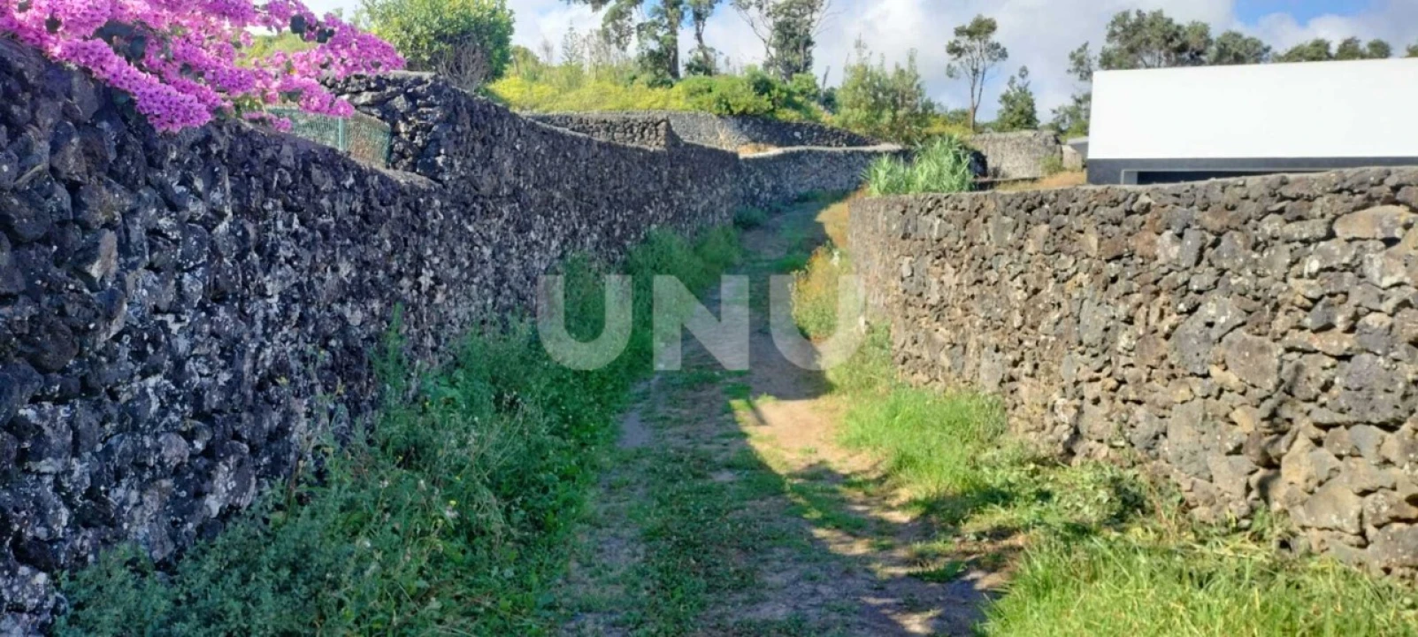 Terreno Agricola ou Rústico para Venda em São Vicente Ferreira Foto 9