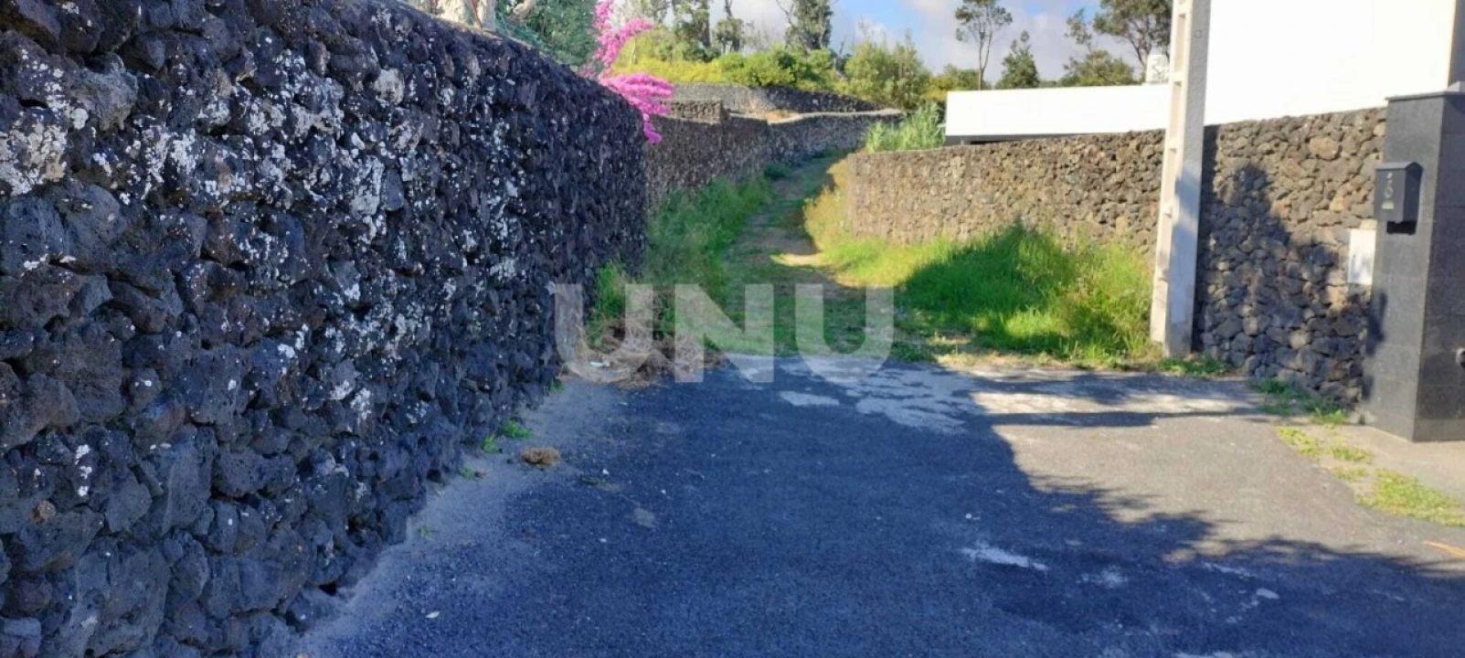 Terreno Agricola ou Rústico para Venda em São Vicente Ferreira Foto 10