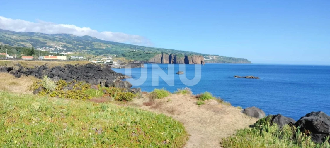 Terreno Agricola ou Rústico para Venda em São Vicente Ferreira Foto 1