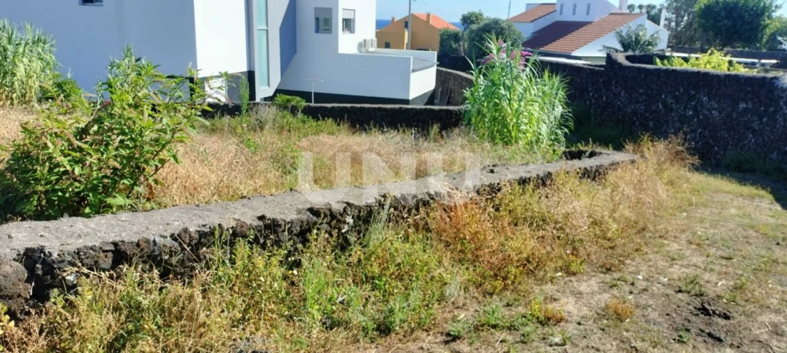 Terreno Agricola ou Rústico para Venda em São Vicente Ferreira Foto 6