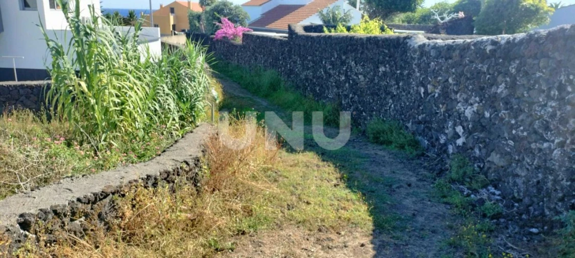 Terreno Agricola ou Rústico para Venda em São Vicente Ferreira Foto 8