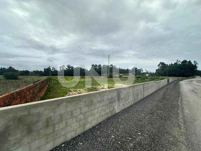 Terreno Agricola ou Rústico para Venda em Beduído e Veiros Foto 2
