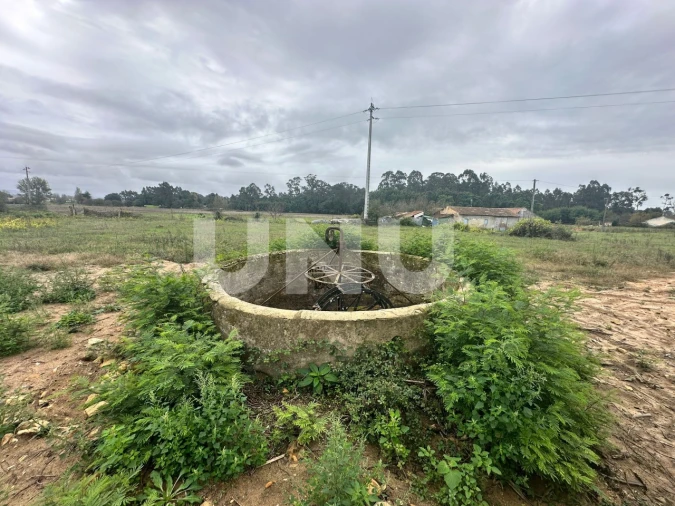 Terreno Agricola ou Rústico para Venda em Beduído e Veiros Foto 5
