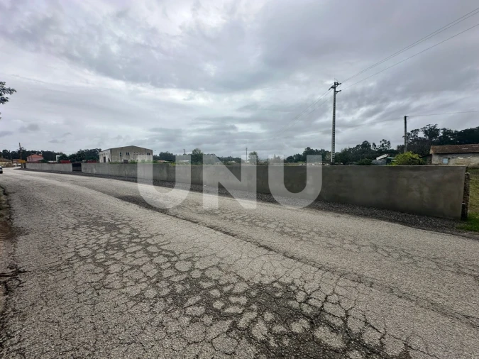 Terreno Agricola ou Rústico para Venda em Beduído e Veiros Foto 8