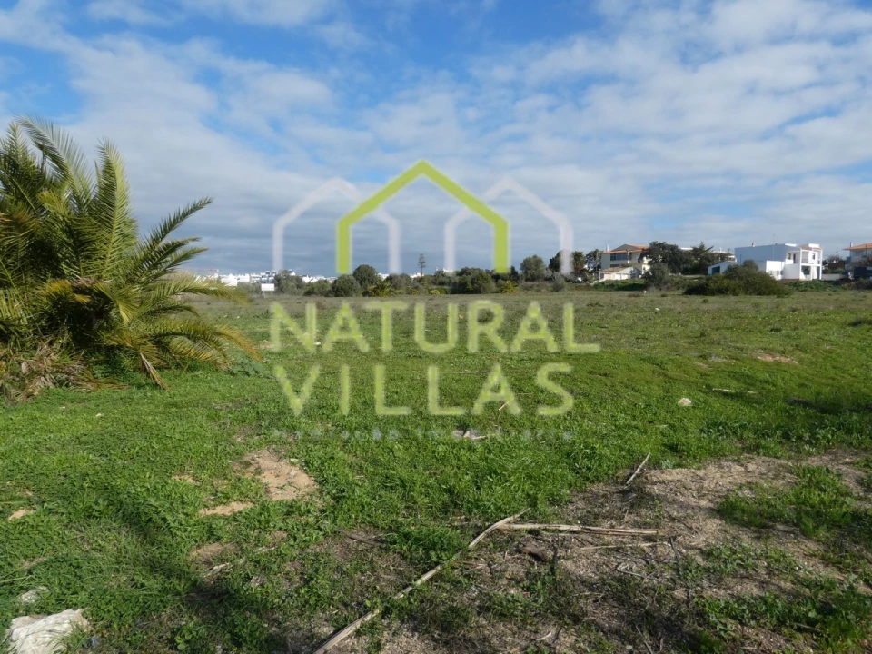 Terreno para Venda em Montenegro Foto 2