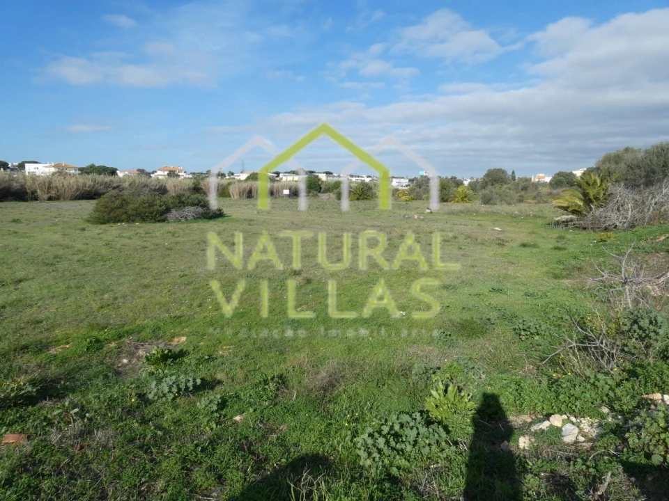 Terreno para Venda em Montenegro Foto 3