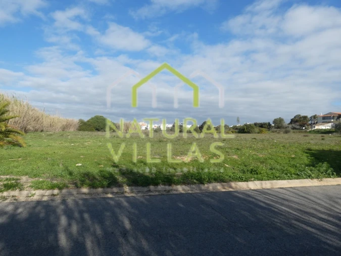 Terreno para Venda em Montenegro Foto 4