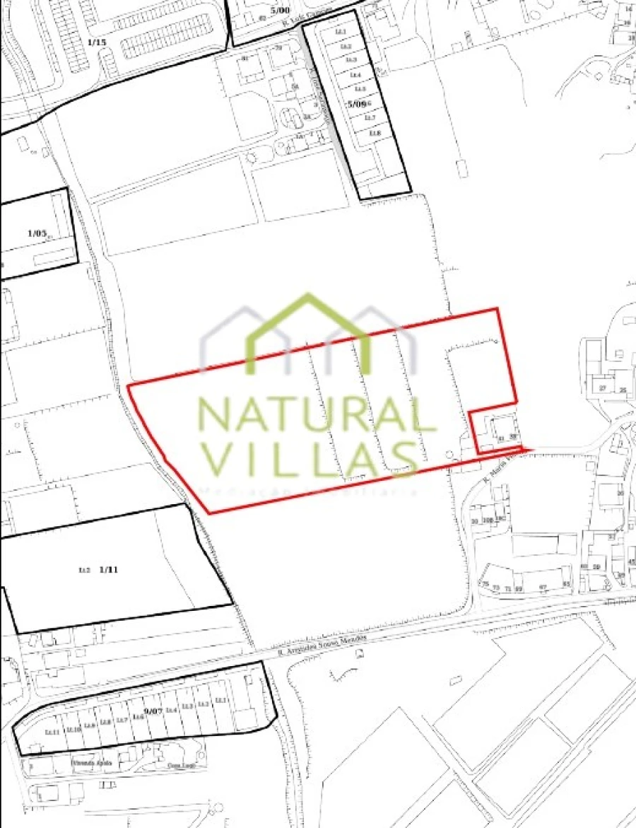 Terreno para Venda em Montenegro Foto 5